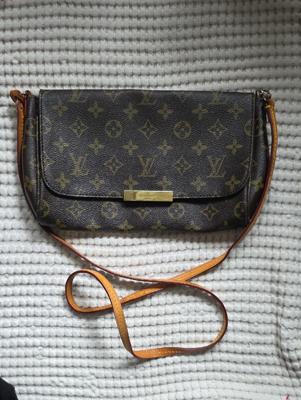 Louis Vuitton Monogram Favorite bag with a front logo placard